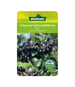 Apfelbeere, Aronia 'Nero' -Compo Verkaufsgeschäft 00000000 Aronia melanocarpa Nero 2016 1