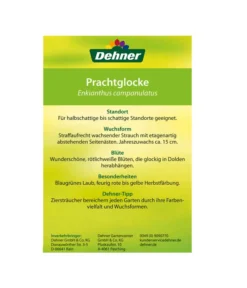 Prachtglocke -Compo Verkaufsgeschäft 00000000 Enkianthus campanulatus 2016 2
