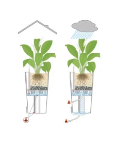LECHUZA® CLASSICO LS, All-in-One-Set -Compo Verkaufsgeschäft 001 InOutdoorLechuza 3