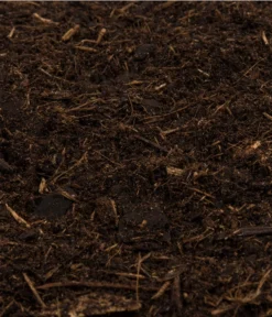 COMPO BIO Tomaten- Und Gemüseerde -Compo Verkaufsgeschäft 1039452 WE DE 001 COMPOSANATomatenundGemueseerde20l