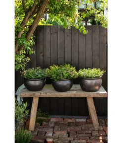 Dehner Keramik-Topf Bavaria, Bauchig -Compo Verkaufsgeschäft 167510 167544 167643 WE MO 006 KeramikPflanztopfBavariaglasiert