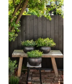 Dehner Keramik-Topf Bavaria, Bauchig -Compo Verkaufsgeschäft 167510 167544 167643 WE MO 007 KeramikPflanztopfBavariaglasiert