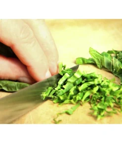 Wasabi -Compo Verkaufsgeschäft 20120718 WE MO 003 Wasabi Gs Detail Blaetter schneiden