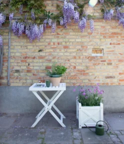 Cinas Tabletttisch, Ca. B60/H65/T40 Cm -Compo Verkaufsgeschäft 2012284 WE MO 001 Tabletttisch