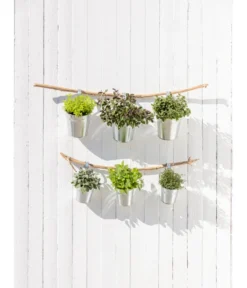 Neue Produkte -Compo Verkaufsgeschäft 20181011 PR MO 003 Kraeuter 04 2