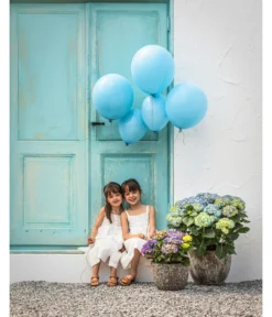 Dehner Keramik-Topf Rhodos, Rund, Blau-grün -Compo Verkaufsgeschäft 20190523 WE MO 001 Hortensien Outdoor blau