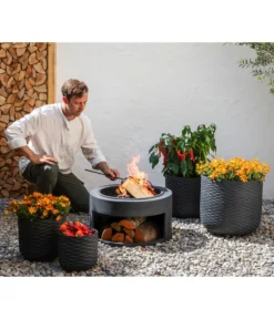 Goldmarie, Orange -Compo Verkaufsgeschäft 20210610 8810020 8832966 WE MO 001 BidensOrangeT12 GC09 2022 02