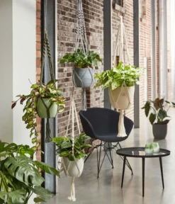 Dehner Makramee-Ampel -Compo Verkaufsgeschäft 2061968 4409132 WE MO 001 AmpelMakramee