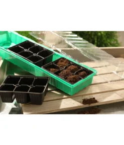 Dehner Zimmergewächshaus Frans, 54 X 15 X 12 Cm -Compo Verkaufsgeschäft 207456 BildM 001 RombergZimmergewaechshausFransFensterbGewH54X15x12