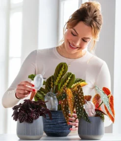 Dehner Keramik-Übertopf Mavie, Rund, Anthrazit -Compo Verkaufsgeschäft 220527 5356548 WE MO 001 ScheurichWasserspeicherBirdy