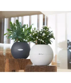 LECHUZA® PURO Color, All-in-One-Set, Rund, Ca. Ø20 Cm -Compo Verkaufsgeschäft 2418598 WE MO 003 LechuzaPuroColor20schiefergrau