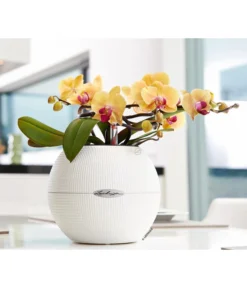 LECHUZA® PURO Color, All-in-One-Set, Rund, Ca. Ø20 Cm -Compo Verkaufsgeschäft 2418622 WE MO 002 PuroColor20cmweiss