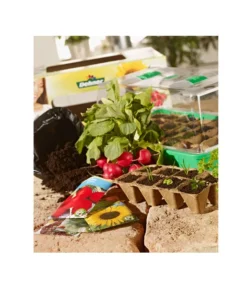 Dehner Zimmergewächshaus Komplett-Set, 38 X 24 X 18 Cm -Compo Verkaufsgeschäft 242305 BildM 001 DehnerZimmergewaechshausKomplettSetZimmergewaechshausKompl