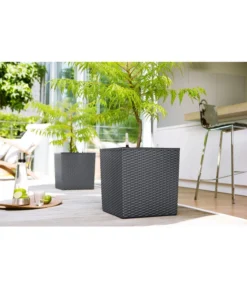 Dehner Kunststoff-Pflanztopf Dallas, Quadratisch, Ca. B35/H34/T35 Cm -Compo Verkaufsgeschäft 2460038 2460046 2460053 WE MO 001 KunststoffTopf36x36x36cm