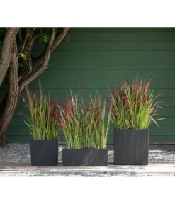 Dehner Kunststoff-Pflanztopf Dallas, Quadratisch, Ca. B35/H34/T35 Cm -Compo Verkaufsgeschäft 2460046 WE MO 003 DehnerKunststoffPflanztopfDallasquadratisch