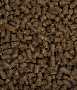 COMPO BIO Universal Langzeit-Dünger Mit Schafwolle, 2 Kg -Compo Verkaufsgeschäft 2528917 WE DE 002 COMPOBIOUniversalLangzeitDungermitSchafwolle