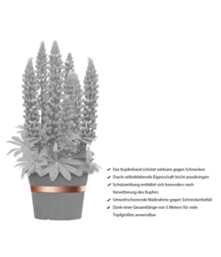 Dehner Bio Schneckenband Kupfer, 5 M -Compo Verkaufsgeschäft 2536555 WE IG 001 DehnerBioSchneckenbandKupfer5m