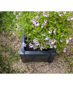 KHW Kunststoff-Pflanzkasten, 43 X 43 X 41 Cm -Compo Verkaufsgeschäft 2549376 WE DE 006 Kasten43cmanthrazit