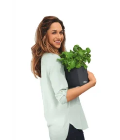 LECHUZA® CUBE Color, All-in-One Set -Compo Verkaufsgeschäft 2843480 WE MO 002 CubeColor14GrauLechuza