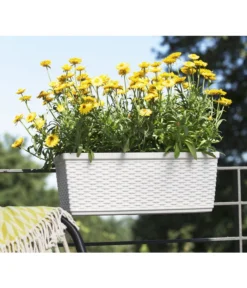 Dehner Kunststoff-Flechtkasten Dallas, Rechteckig -Compo Verkaufsgeschäft 2889723 WE FS 002 CasaMash weiss