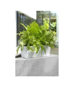 Dehner Kunststoff-Flechtkasten Dallas, Rechteckig -Compo Verkaufsgeschäft 2889723 WE MO 002 DehnerKunststoffFlechtkastenWeissBlumenkasten