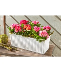 Dehner Kunststoff-Flechtkasten Dallas, Rechteckig -Compo Verkaufsgeschäft 2889822 WE MO 002 DehnerKunststoffFlechtkastenweissBlumentopf