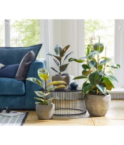 Dehner Keramik-Übertopf Kenia, Konisch, Braun -Compo Verkaufsgeschäft 2906469 WE MO 001 TopfKeniaBraun