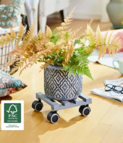 Wagner Pflanzenroller Creo, Ø 19 Cm -Compo Verkaufsgeschäft 2913945 WE MO 002 MULTIROLLERCREO