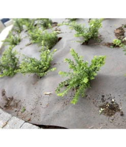 Dehner Rindenmulch-Unterlage, Ca. L300/B200 Cm -Compo Verkaufsgeschäft 3079696 BildM 002 RindenmulchUnterlageFuerDieGartenpflegeRindenmulchUnterlage2X3