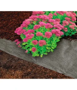 Dehner Rindenmulch-Unterlage, Ca. L300/B200 Cm -Compo Verkaufsgeschäft 3079696 WE MO 004 RindenmulchUnterlageMulchunterlageWurzelsperre