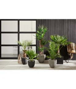 Dehner Polystone-Topf Brisbane In Riffeloptik, Rund -Compo Verkaufsgeschäft 3158847 3158870 3158888 WE MO 002 PolystoneTopfinRiffeloptikrundsand