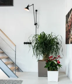 LECHUZA® CUBE, All-in-One Set -Compo Verkaufsgeschäft 3179850 3179637 WE MO 008 CubePremiumWeissTaupe