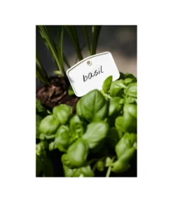 Elho Pflanz-Stift, 5 Stück -Compo Verkaufsgeschäft 3266806 MO FS 001 PflanzstiftMweissElhoEtikett