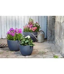 Dehner Leichtbeton-Pflanztopf Manchester, Rund, Antik-schwarz -Compo Verkaufsgeschäft 3337151 3337169 3337136 3337144 WE MO 002 DehnerLeichtbetonPflanztopfantikschwarz