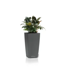 LECHUZA® MAXI/MINI-CUBI, All-in-One-Set -Compo Verkaufsgeschäft 3468618 WE FS 002 MaxiCubiAnthrazitLechuza