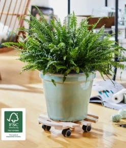 Titelseite -Compo Verkaufsgeschäft 3519519 WE MO 002 MULTIROLLER