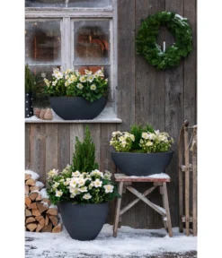 Dehner Kunststoff-Schale Miami, Oval, Anthrazit, Ca. B52/H20/T23 Cm -Compo Verkaufsgeschäft 3694254 3693926 WE MO 001 KunststoffTopfStonekonischanthrazit