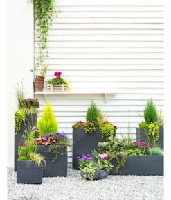 Dehner Kunststoff-Blumenkübel Palermo, Anthrazit -Compo Verkaufsgeschäft 3728110 3940764 3693611 WE MO 001 KunststoffPflanzkastenKubus