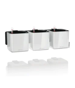 LECHUZA® CUBE Glossy Green Wall Home Kit, Ca. B48/H14/T15 Cm