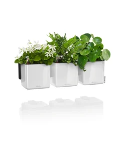 LECHUZA® CUBE Glossy Green Wall Home Kit, Ca. B48/H14/T15 Cm -Compo Verkaufsgeschäft 3767662 WE FS 003 CubeGlossyGreenWallHomeKitWeiss