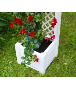 KHW Kunststoff-Pflanzkasten Mit Spalier, 43 X 43 X 140 Cm -Compo Verkaufsgeschäft 3913688 WE DE 004 KastenSpalier43weiss