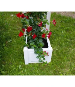 KHW Kunststoff-Pflanzkasten Mit Spalier, 43 X 43 X 140 Cm -Compo Verkaufsgeschäft 3913688 WE DE 005 KastenSpalier43weiss