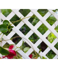 KHW Kunststoff-Pflanzkasten Mit Spalier, 43 X 43 X 140 Cm -Compo Verkaufsgeschäft 3913688 WE DE 006 KastenSpalier43weiss