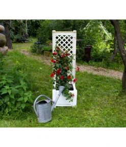 Titelseite -Compo Verkaufsgeschäft 3913688 WE MO 002 KastenSpalier43weiss