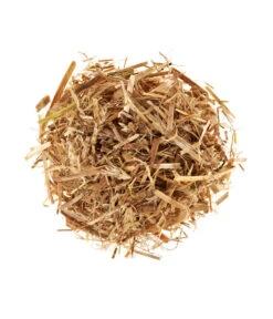 Neue Produkte -Compo Verkaufsgeschäft 3940285 BildD 001 PilzmaennchenBioHomePilzzuchtsetAusternpilzPilzbrutAusternpilzSet