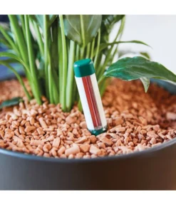 Seramis Gießanzeiger -Compo Verkaufsgeschäft 394684 WE MO 003 SeramisGiessanzeiger 394692