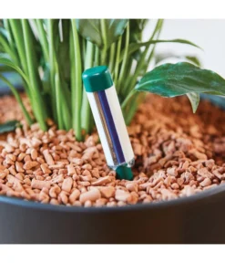 Seramis Gießanzeiger -Compo Verkaufsgeschäft 394684 WE MO 004 SeramisGiessanzeiger 394692