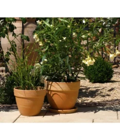 Spang Terrakotta-Pflanztopf Levante, Rund, Marmoriert -Compo Verkaufsgeschäft 3952744 BildM 001 TerrakottaPflanztopfLevanteTerrPflanztopf19Cm