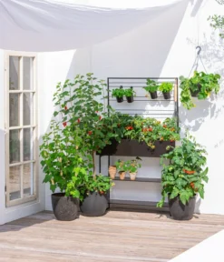 Kunststoff-Topf Padua, Rund -Compo Verkaufsgeschäft 3962933 WE MO 002 KunststoffTopfPaduarund