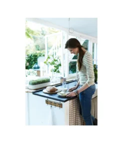 Elho Anzuchthaube L -Compo Verkaufsgeschäft 4026704 WE MO 001 AnzuchthausLTransparentElho